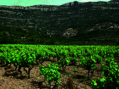 Camí del Montsant_Cornudella